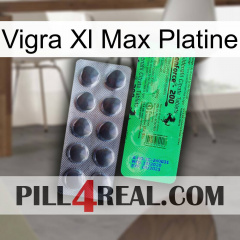Vigra Xl Max Platinum new04